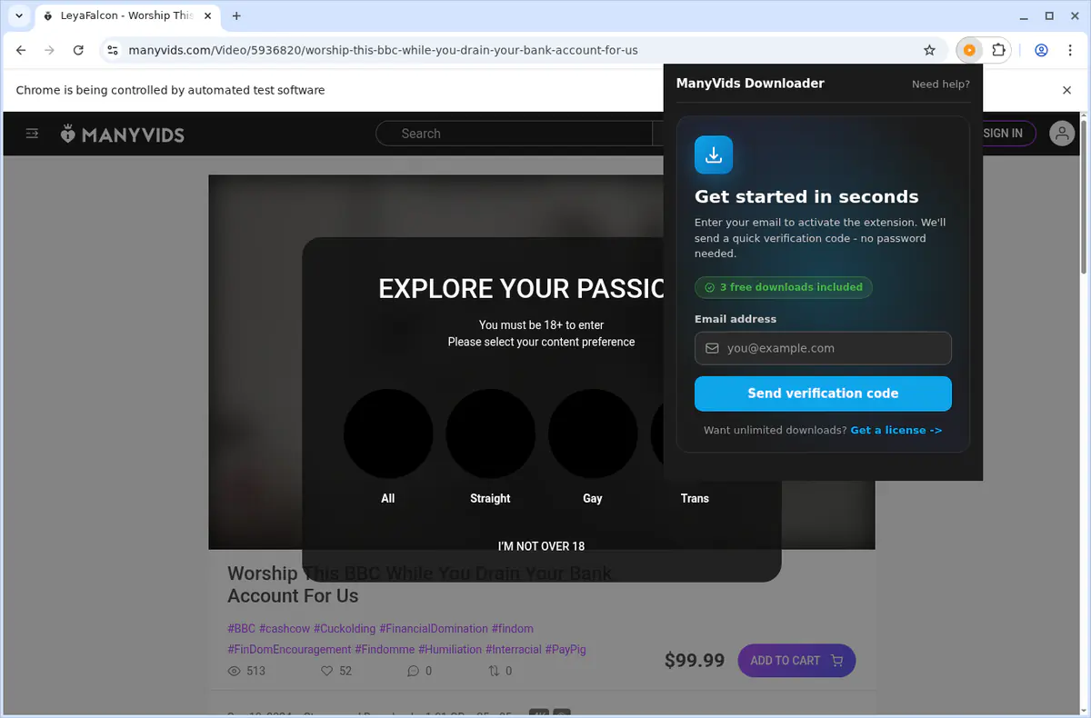 ManyVids Video Downloader browser extension screenshot 6